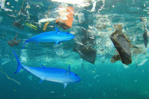 Plastikmüll in den Ozeanen