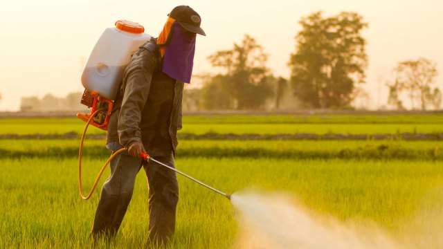 water filter herbicide pesticide roundup